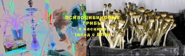 мяу мяу мука Алапаевск