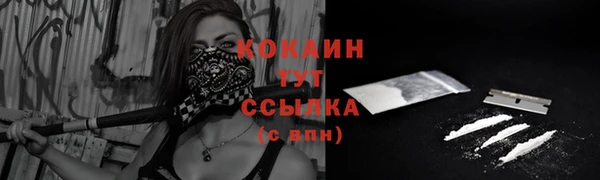 стафф Бердск