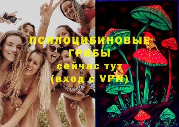 стафф Бердск