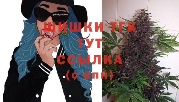 стафф Бердск