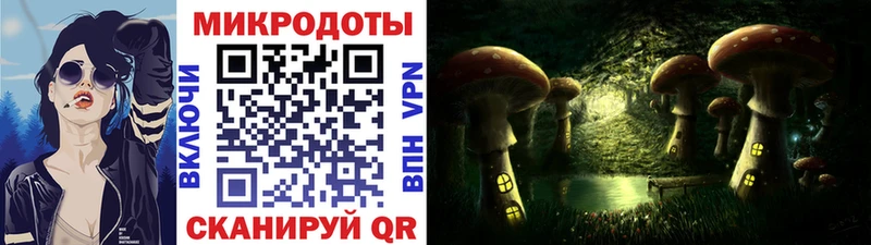 Псилоцибиновые грибы Psilocybine cubensis  купить   Белая Калитва 