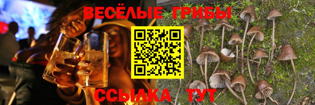 Галлюциногенные грибы мицелий Белая Калитва