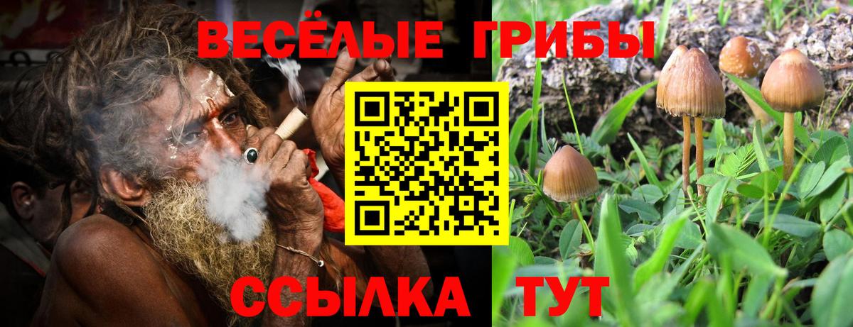 Псилоцибиновые грибы GOLDEN TEACHER Белая Калитва