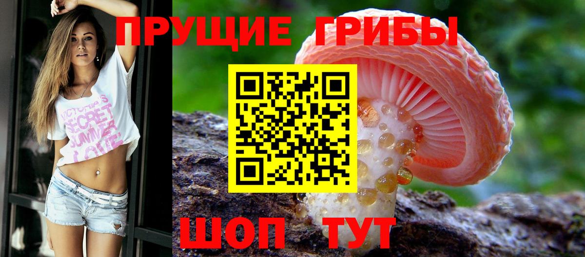 Галлюциногенные грибы MAGIC MUSHROOMS  Вход с VPN  Белая Калитва 